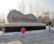 绥化天气预报40天