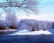 逊克天气预报40天