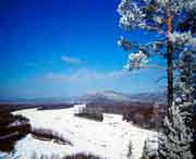 呼中天气预报40天