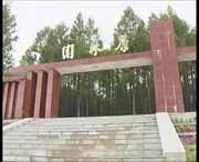 新林天气预报40天