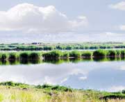 肇州天气预报30天