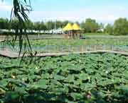 德惠天气预报15天