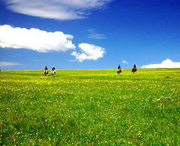 蔚县天气预报40天