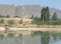 横山天气预报15天