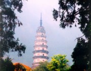 长清天气预报7天