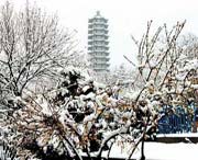 苍山天气预报40天