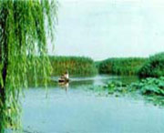 滨州天气预报40天