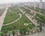 无棣天气预报40天