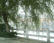 商城天气预报30天