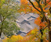 三穗天气预报30天