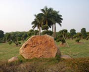 新会天气预报7天