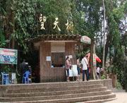 勐腊天气预报40天