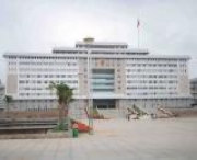 来宾天气预报7天